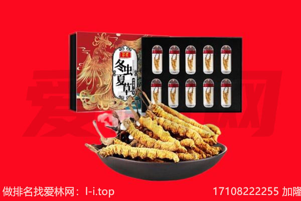梅州回收虫草.jpg